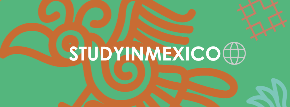 STUDY IN MEXICO